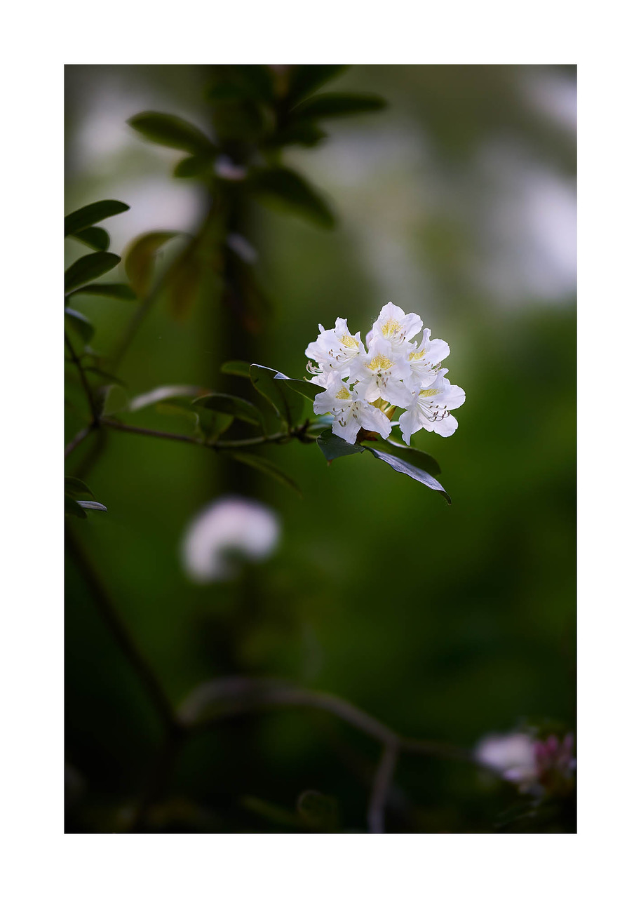 01_#©_Matthias_Hubert_www.fomahu.de_499A0121_2024-05-01_SHIFT Kopie
