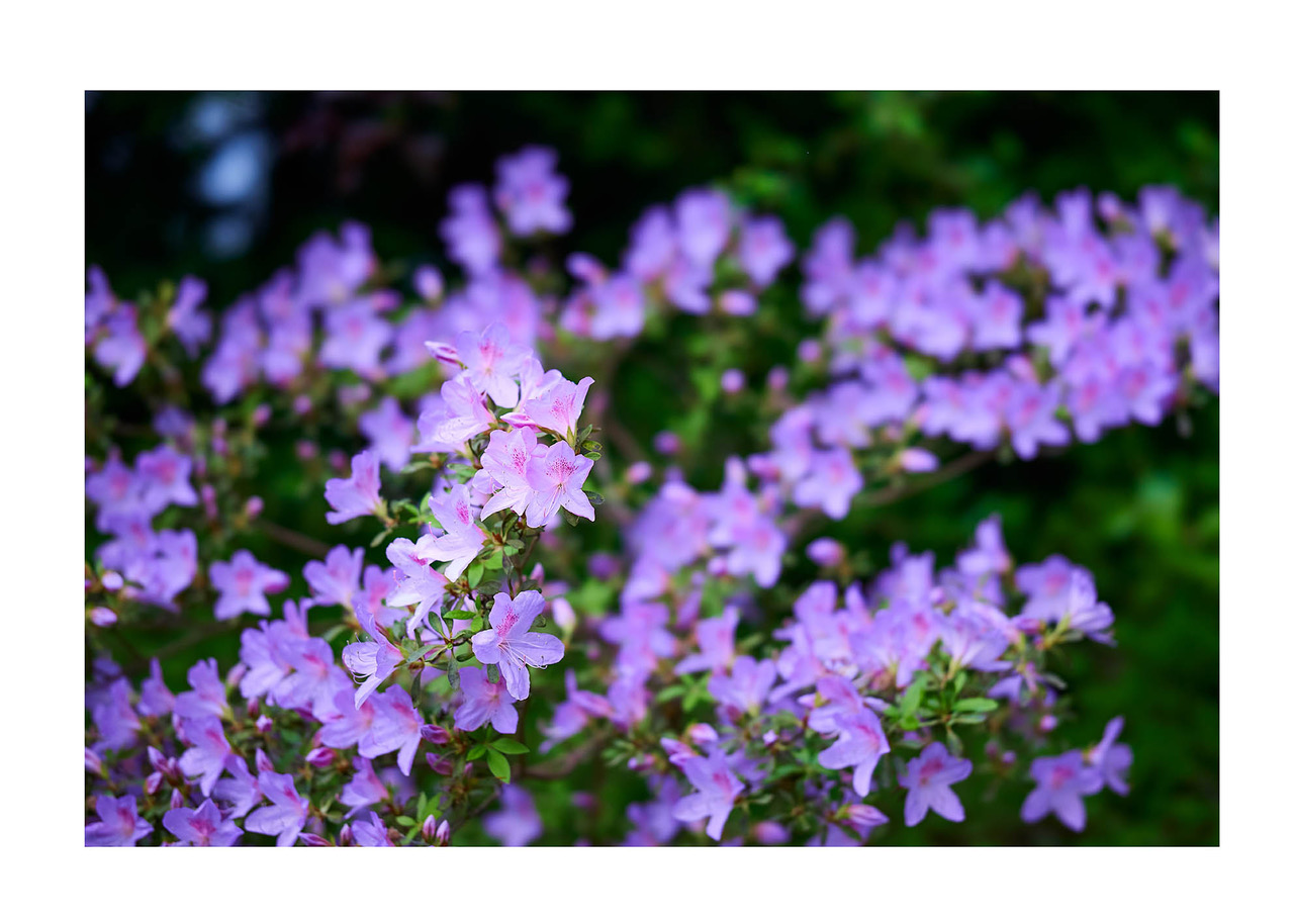 11_©_Matthias_Hubert_www.fomahu.de_499A0132_2024-05-01_SHIFT Kopie