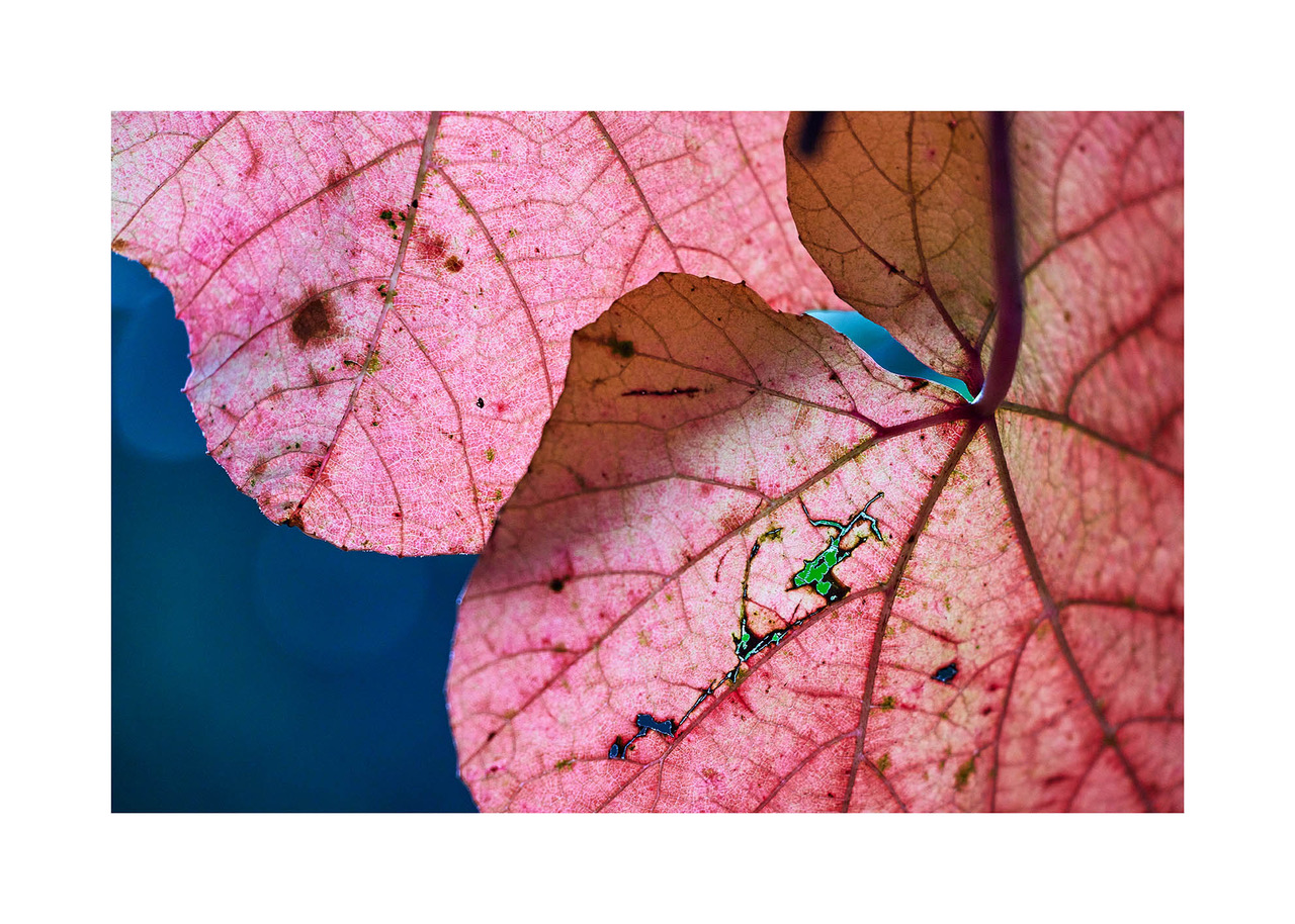 12_©_Matthias_Hubert_www.fomahu.de_499A1406_2024-10-22_SHIFT Kopie