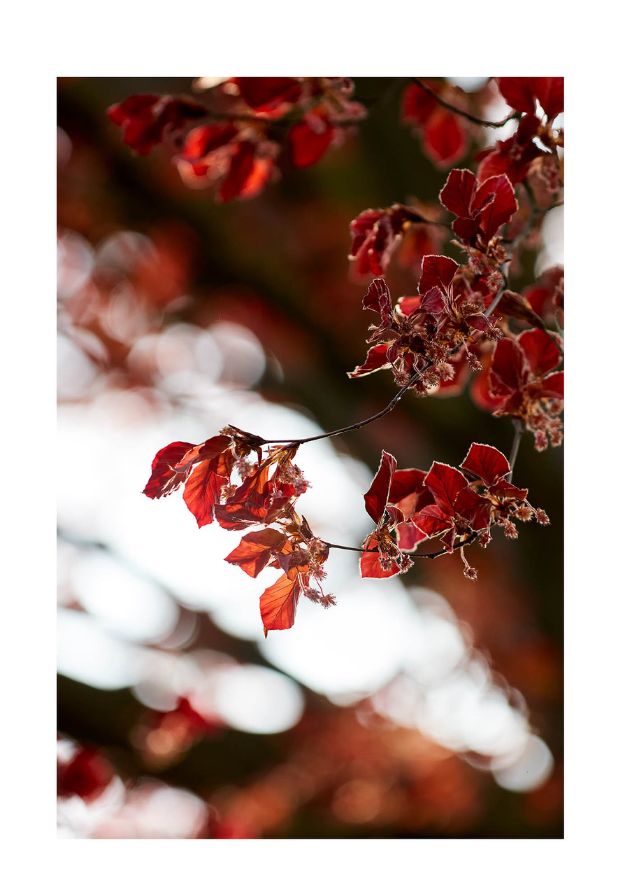 13_©_Matthias_Hubert_www.fomahu.de_085A1933_2020-04-16_SHIFT Kopie