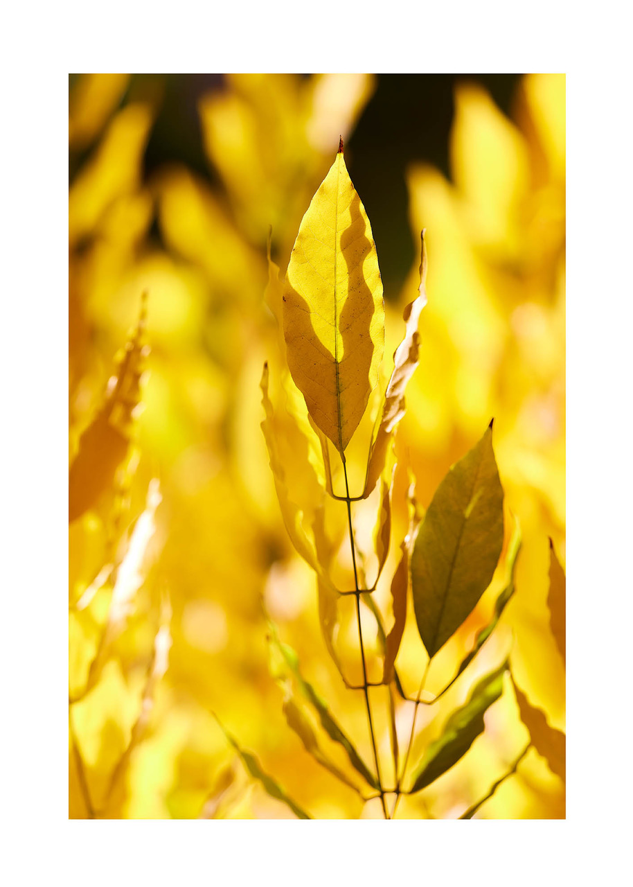 14_©_Matthias_Hubert_www.fomahu.de_499A1272_2024-10-22_SHIFT Kopie