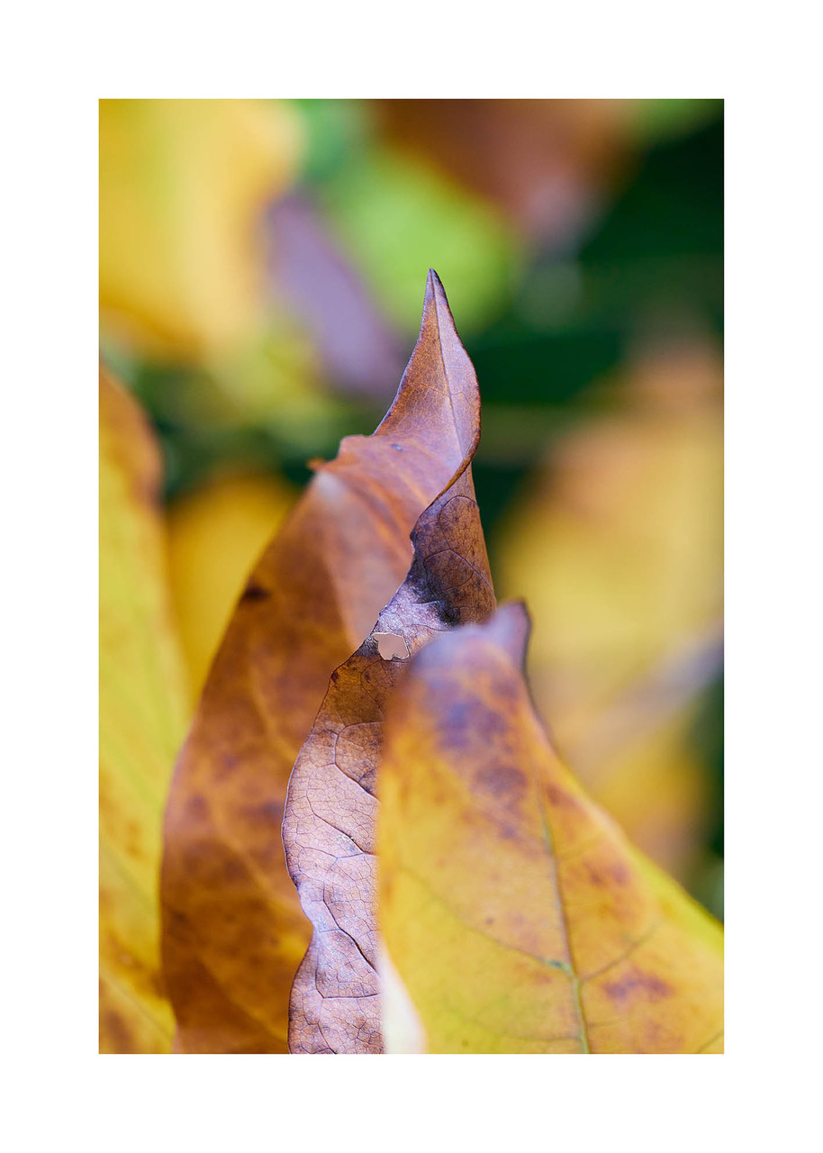15_©_Matthias_Hubert_www.fomahu.de_499A1343_2024-10-22_SHIFT Kopie