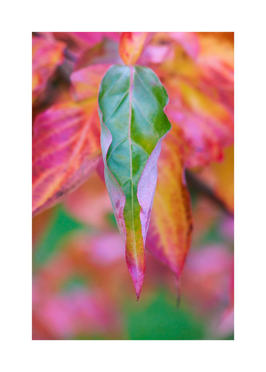 16_©_Matthias_Hubert_www.fomahu.de_499A1365_2024-10-22_SHIFT Kopie