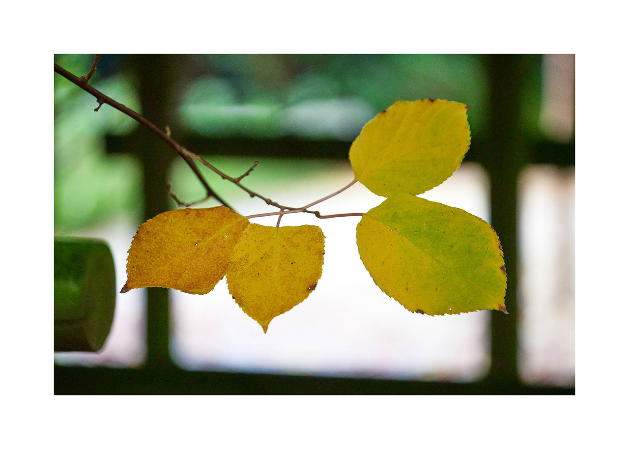 17_©_Matthias_Hubert_www.fomahu.de_499A1397_2024-10-22_SHIFT Kopie