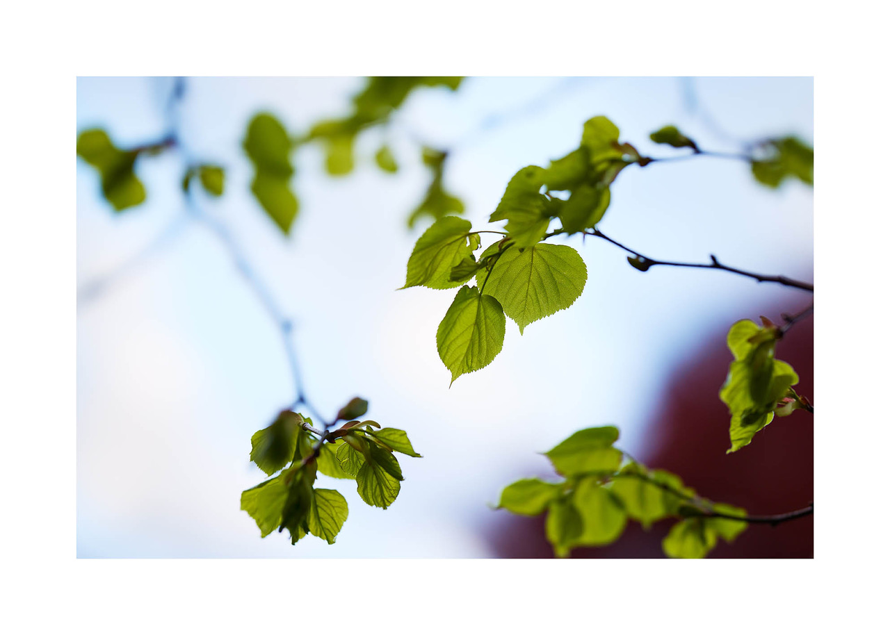 18_©_Matthias_Hubert_www.fomahu.de_499A9992_2024-05-01_SHIFT Kopie