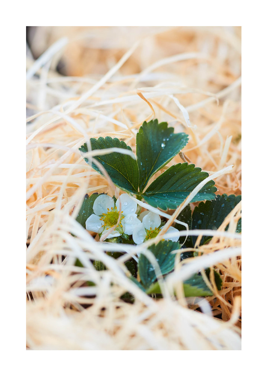 19_©_Matthias_Hubert_www.fomahu.de_085A1958_2020-04-16_SHIFT Kopie