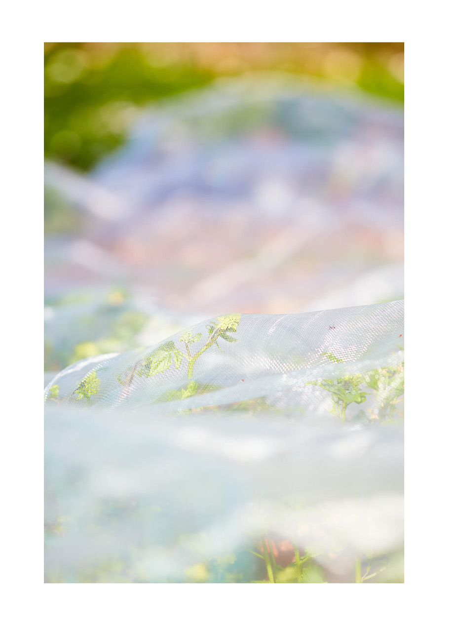 20_©_Matthias_Hubert_www.fomahu.de_085A1773_2020-04-10_SHIFT Kopie