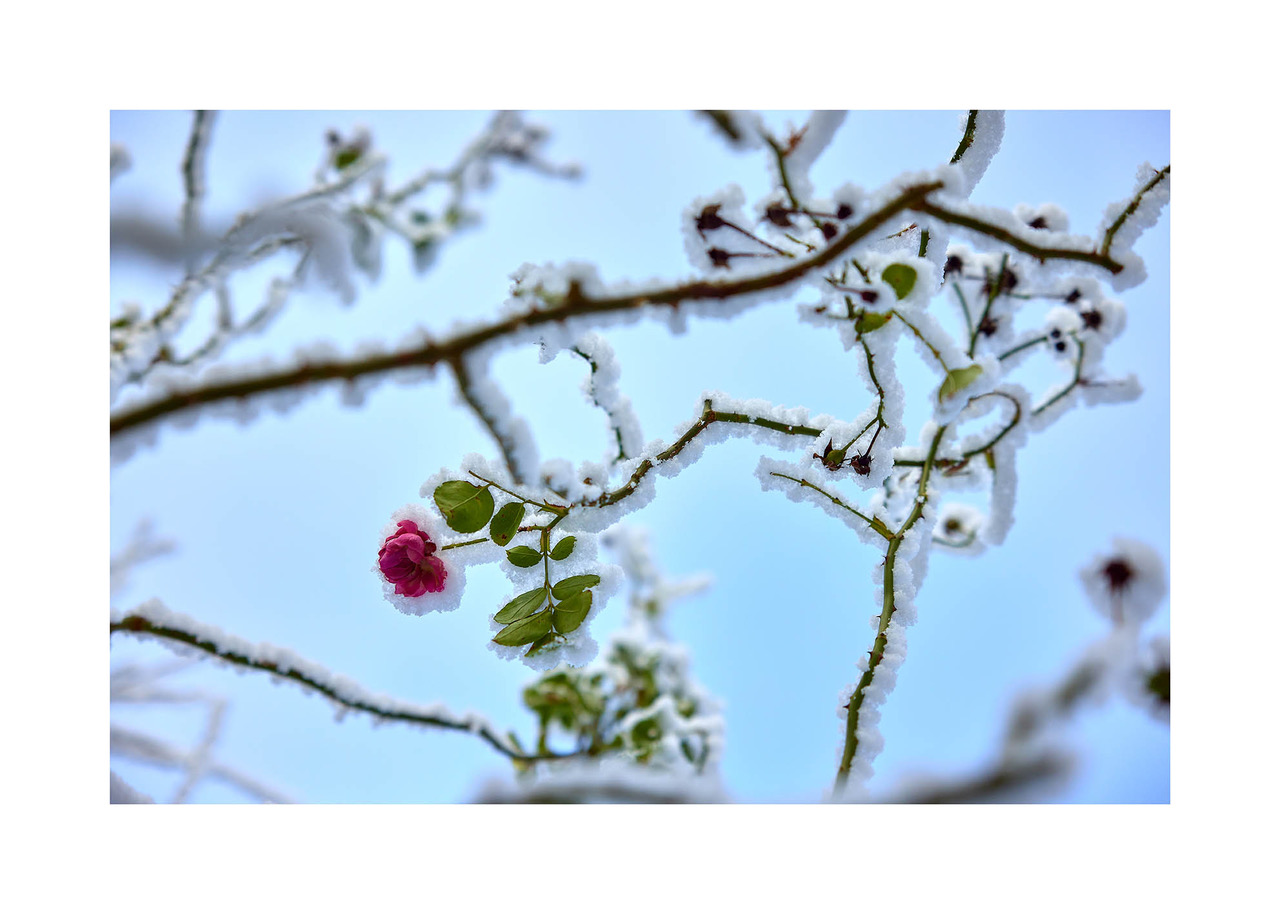 29_©_Matthias_Hubert_www.fomahu.de_499A3256_2025-01-18_SHIFT Kopie