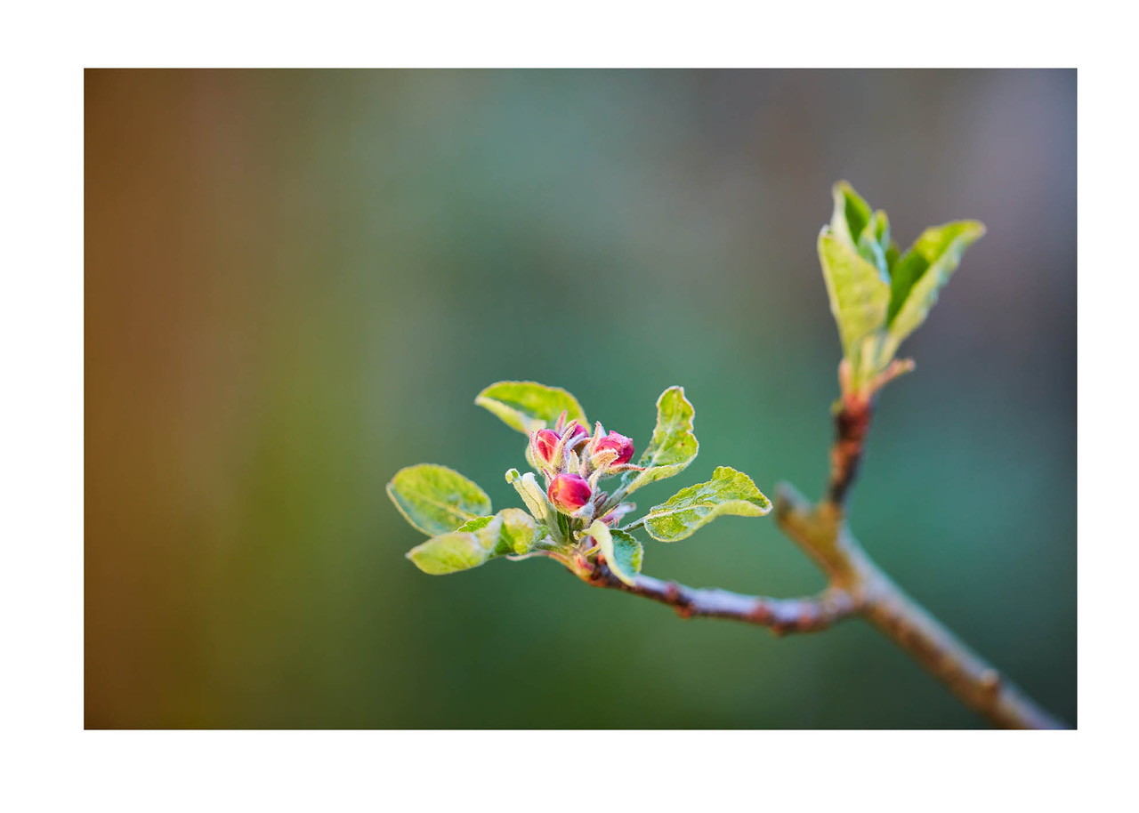 30_©_Matthias_Hubert_www.fomahu.de_085A1978_2020-04-16_SHIFT Kopie