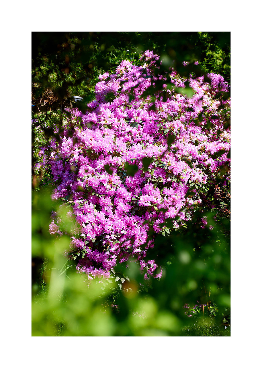 33_©_Matthias_Hubert_www.fomahu.de_499A1047_2024-05-19_SHIFT Kopie