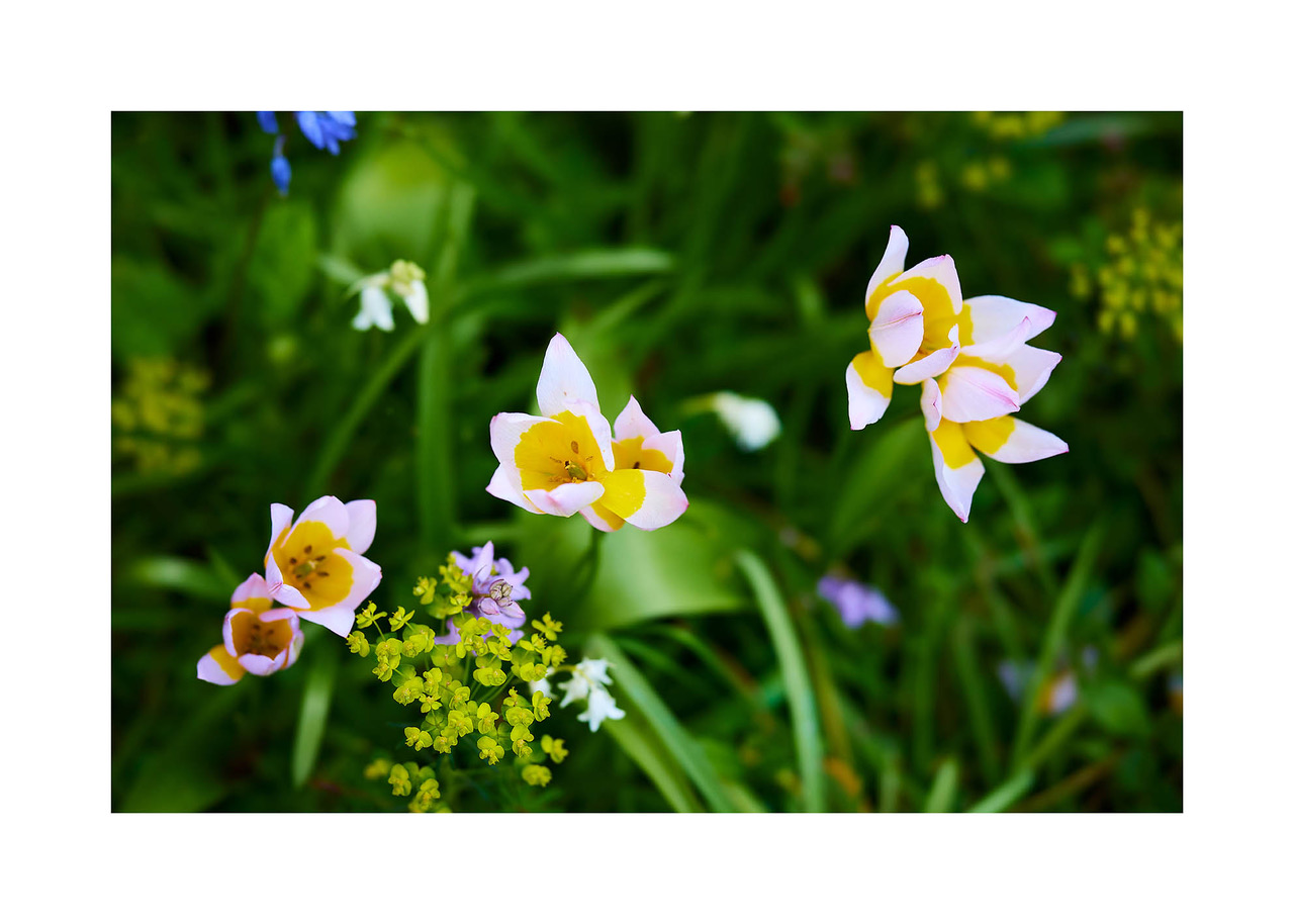37_©_Matthias_Hubert_www.fomahu.de_499A9974_2024-05-01_SHIFT Kopie