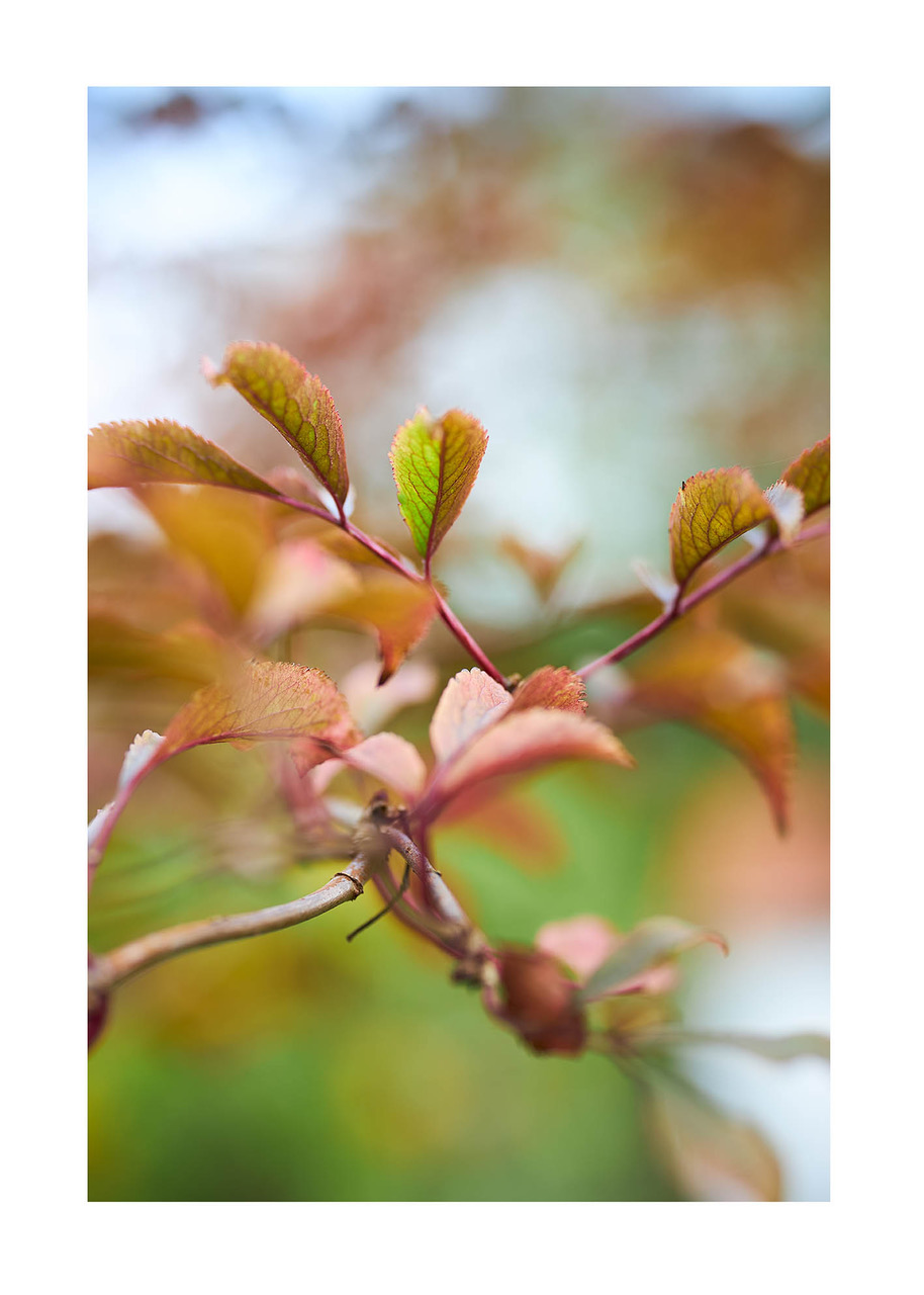38_©_Matthias_Hubert_www.fomahu.de_4P6A1092_2019-10-22_SHIFT Kopie