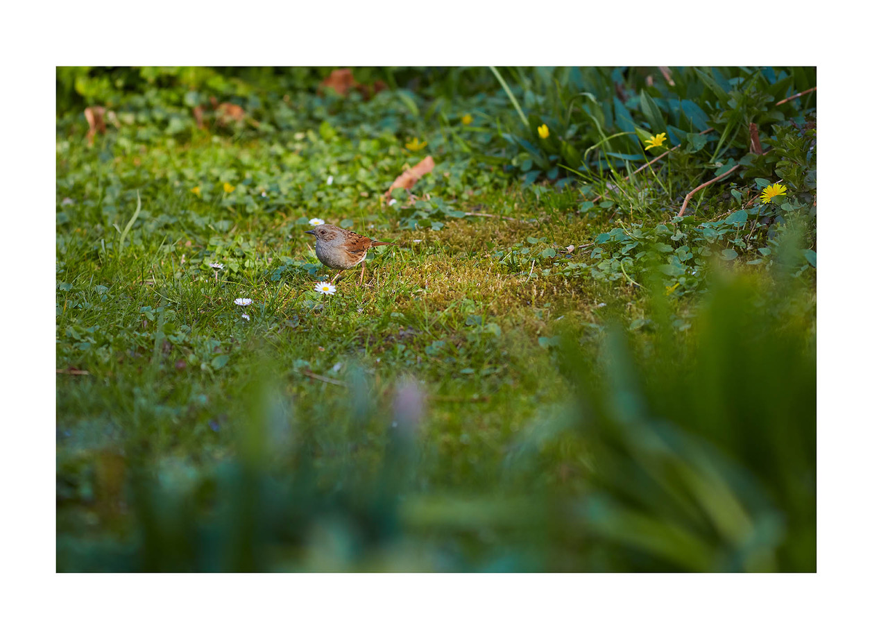 39_©_Matthias_Hubert_www.fomahu.de_085A1782_2020-04-10_SHIFT Kopie