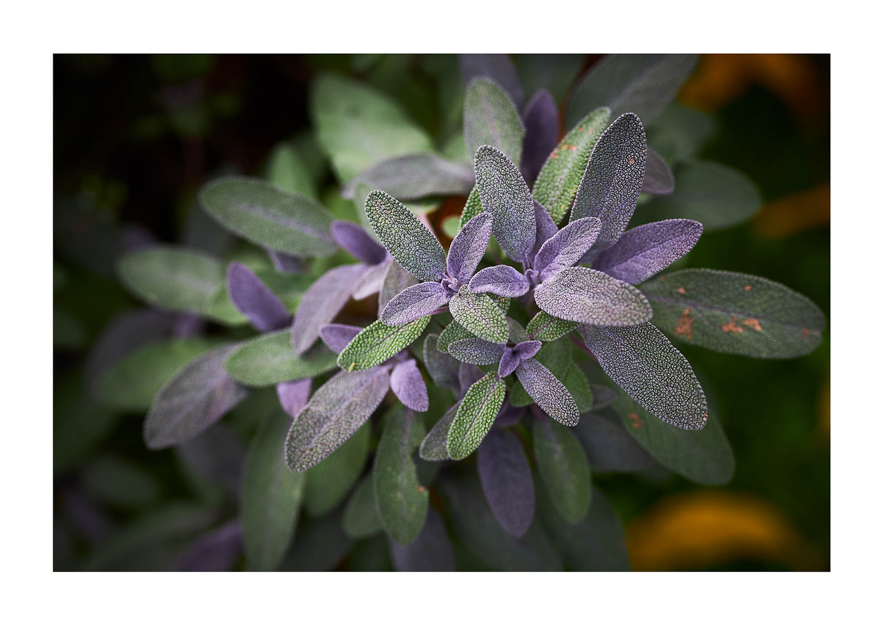 41_©_Matthias_Hubert_www.fomahu.de_4P6A1102_2019-10-22_SHIFT Kopie